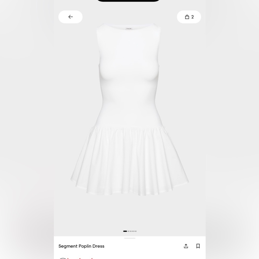 Aritzia Segment Poplin Dress